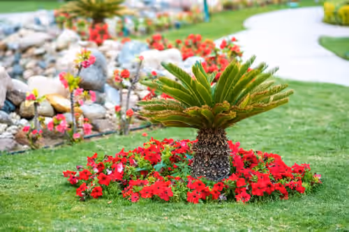 General Landscaping