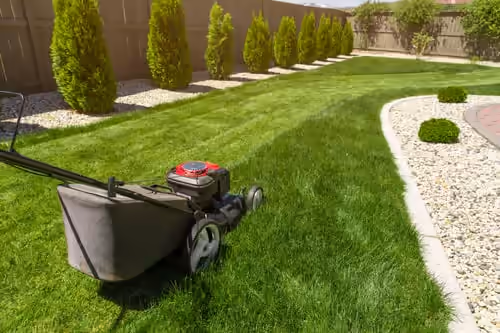 A Houston Lawn Care Calendar That Matches the Actual Weather