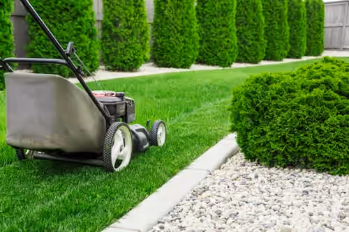 Lawn Care & Maintenance