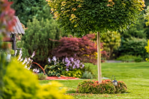 Planting & Garden Care